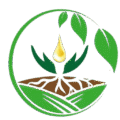 Logo de ZaynJbel – Huile naturelle pure extraite de plantes fraîches